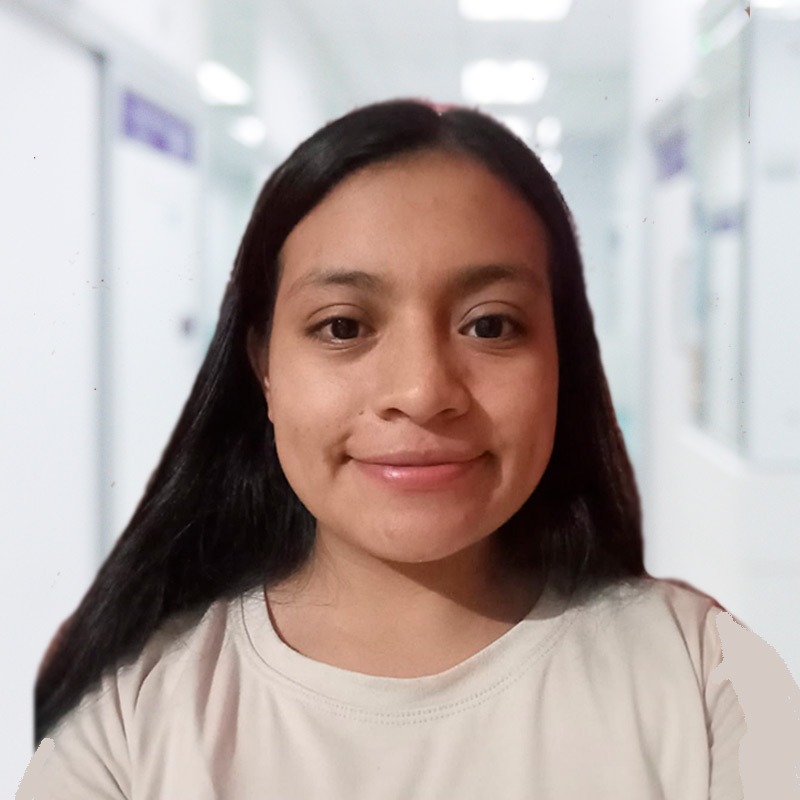 Psic (c). Guisela Viviana Chimarro Factos